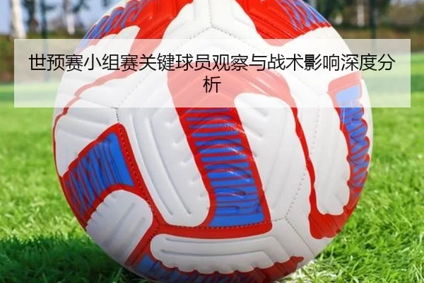 世预赛小组赛关键球员观察与战术影响深度分析